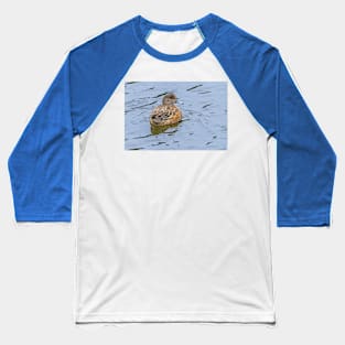 Resting and Watchful Wigeon Baseball T-Shirt